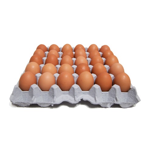 계란/특란